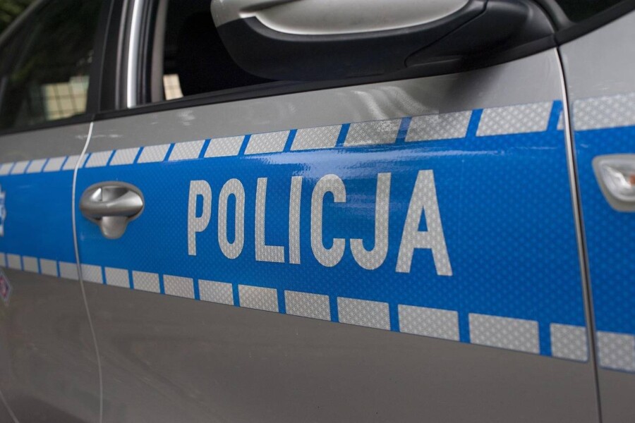 Jakie samochody produkuje Polska i czym się wyróżniają?