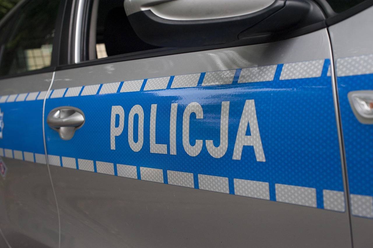 Jakie samochody produkuje Polska i czym się wyróżniają?